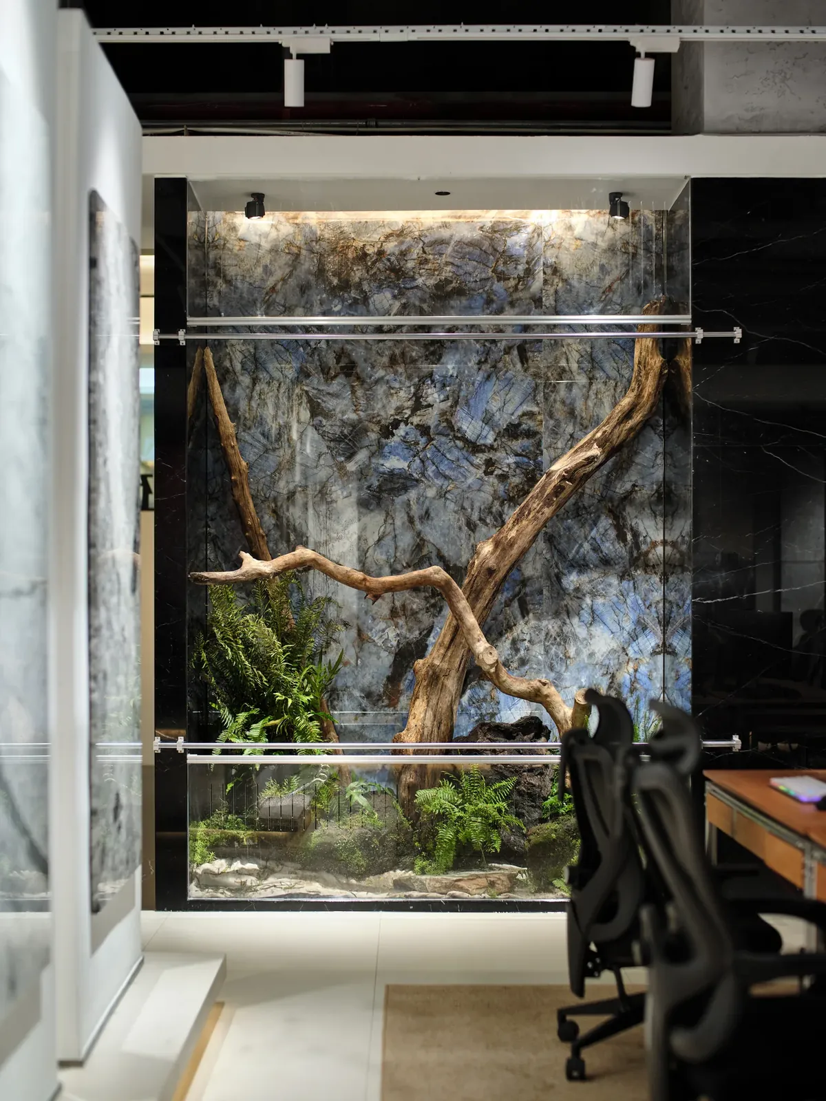展厅植物墙